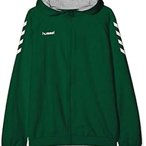 Hummel Unisex Kinder Hmlgo Kids Cotton Zip Hoodie Kapuzenjacke, Grün (Evergreen), 164