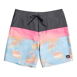 Quiksilver Surfsilk Panel 18" - Boardshorts für Männer Schwarz